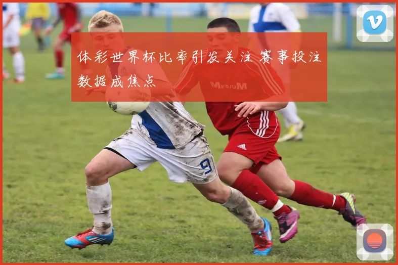体彩世界杯比率引发关注 赛事投注数据成焦点