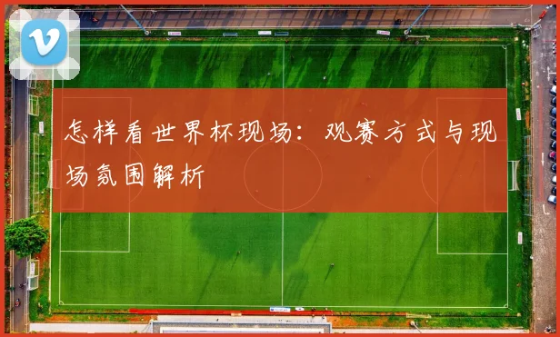怎样看世界杯现场：观赛方式与现场氛围解析