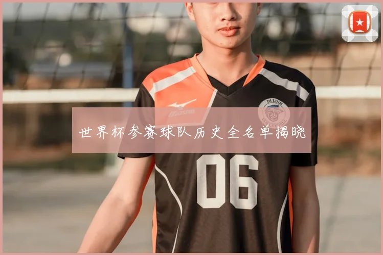 世界杯参赛球队历史全名单揭晓